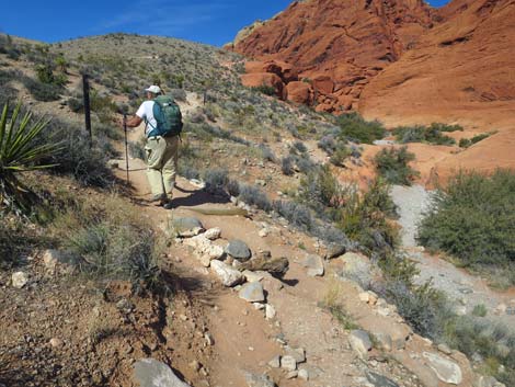 Grand Circle Loop Trail