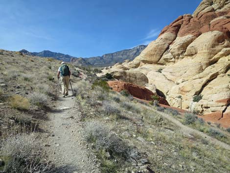 Calico Hills Loop Trail