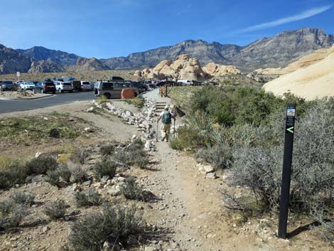 Calico Hills Loop Trail