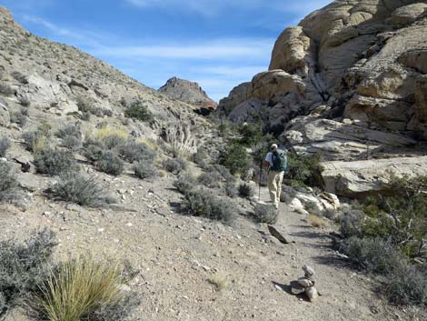 Calico Hills Loop Trail