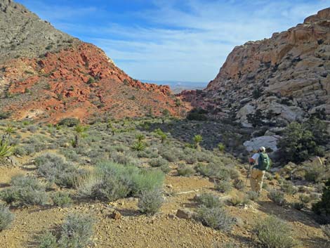 Calico Hills Loop Trail