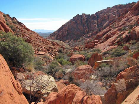 Calico Hills Loop