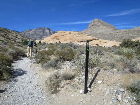 Calico Tanks Trail