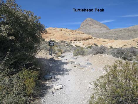 Calico Tanks Trail