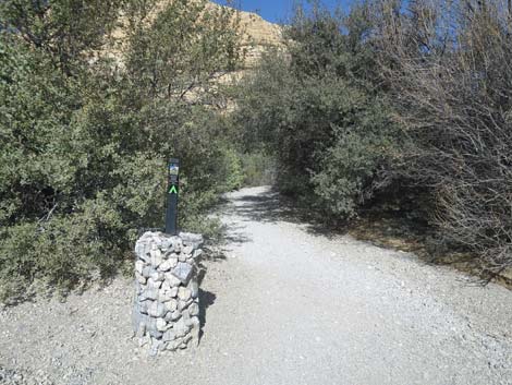 Calico Tanks Trail