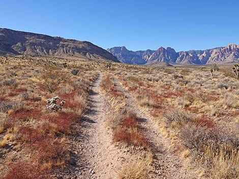 Fire Station Hill Trail