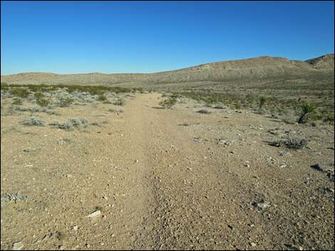 Campground Flats Loop Trail