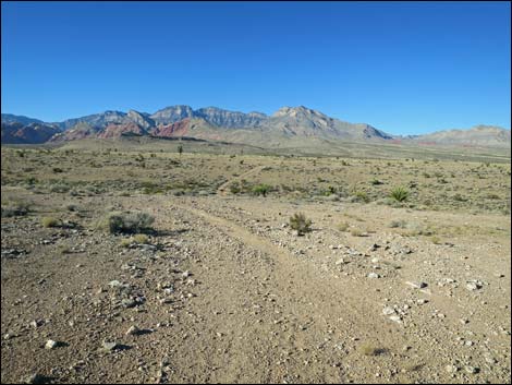 Campground Flats Loop Trail