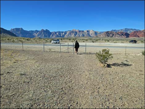 Campground Flats Loop Trail