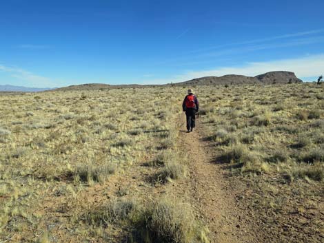 Gun Range Ridge Loop