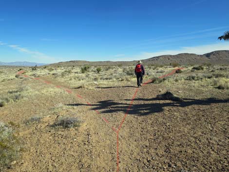 Gun Range Ridge Loop