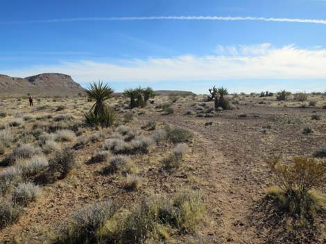 Gun Range Ridge Loop