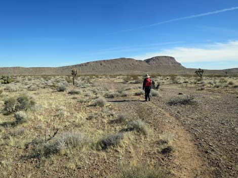 Gun Range Ridge Loop