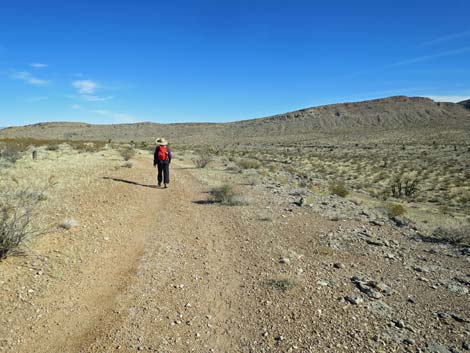 Gun Range Ridge Loop