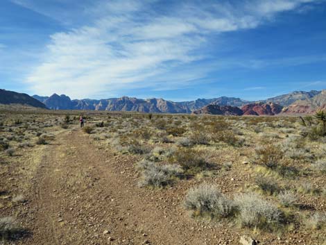 Gun Range Ridge Loop