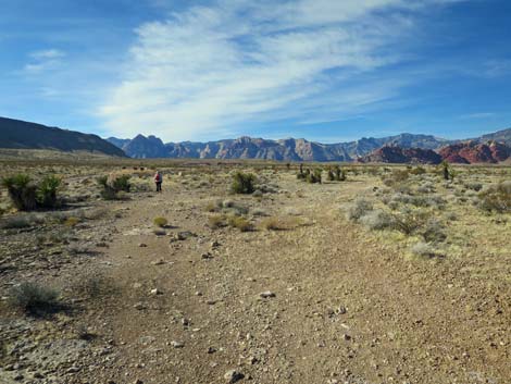 Gun Range Ridge Loop