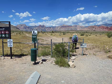 Campground Wash Trail