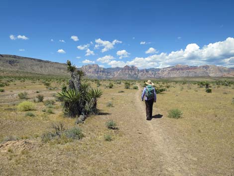 Campground Wash Trail