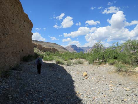 Campground Wash Trail