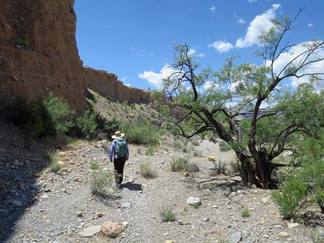 Campground Wash Trail