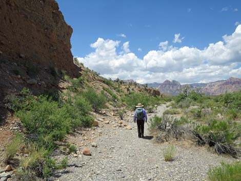 Campground Wash Trail