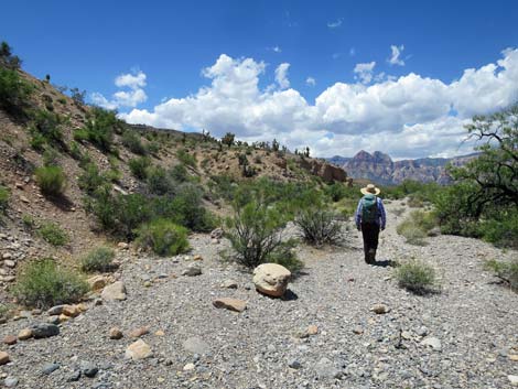 Campground Wash Trail