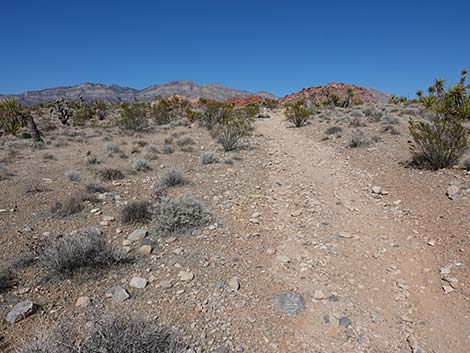 Entrance Station to Calico Basin Trail