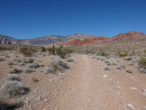 Entrance Station to Calico Basin Trail