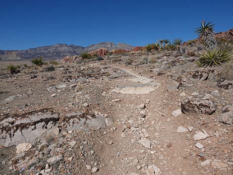 Entrance Station to Calico Basin Trail