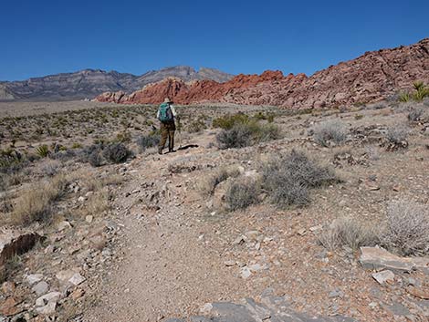 Entrance Station to Calico Basin Trail