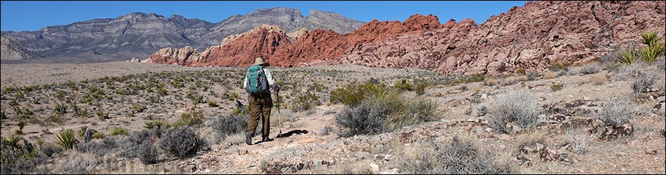 Entrance Station to Calico Basin Trail