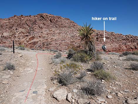 Entrance Station to Calico Basin Trail