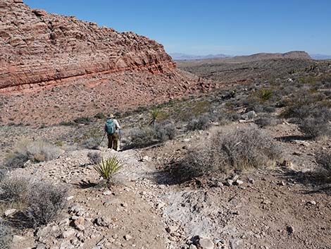 Entrance Station to Calico Basin Trail