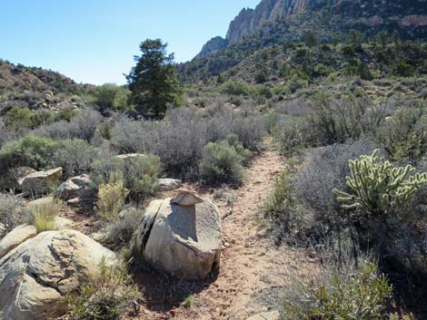 Escarpment Trail