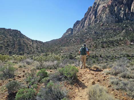 Escarpment Trail