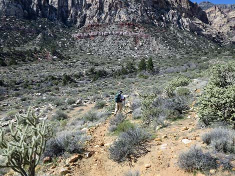 Escarpment Trail