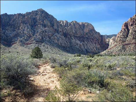 First Creek Canyon