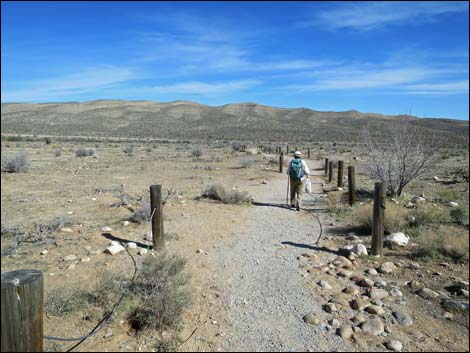 First Creek Canyon