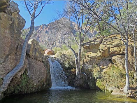 First Creek Falls