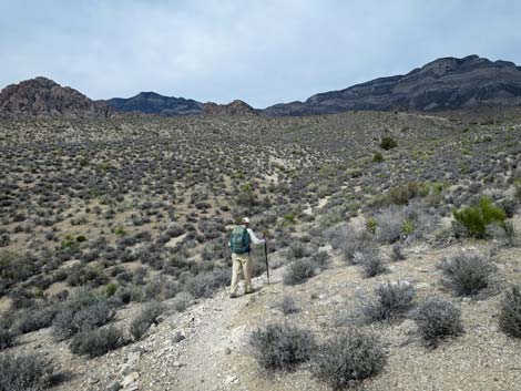 Grand Circle Trail