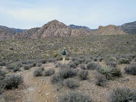 Grand Circle Trail