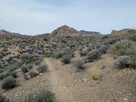 Grand Circle Trail