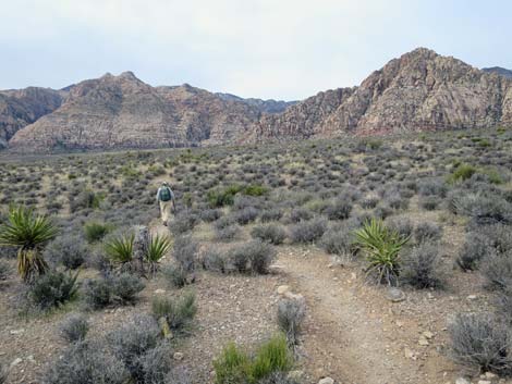 Grand Circle Trail