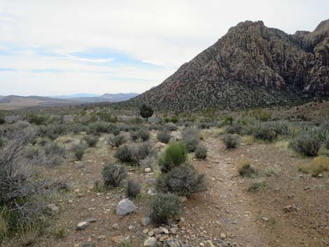 Grand Circle Trail