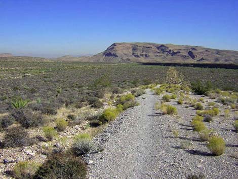 Grand Circle Trail