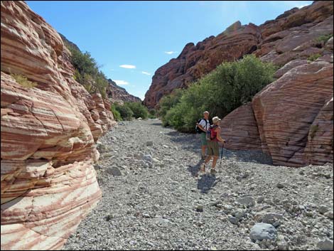 Kraft Mountain Loop