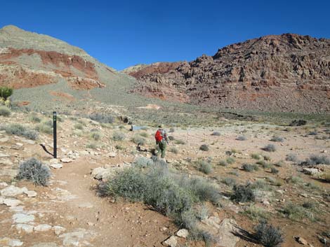 Girl Scout Trail