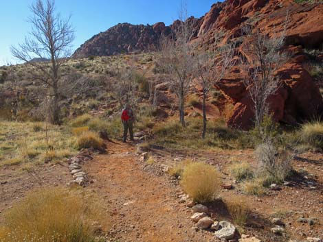 Girl Scout Trail