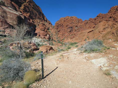 Girl Scout Trail