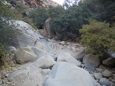 Ice Box Canyon